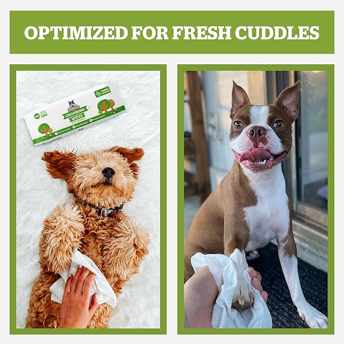 Pogi’s Dog Grooming Wipes – Hypoallergenic Pet Wipes for Paws, Body &amp; Butt – Cleaning &amp; Hydrating, Green Tea Scent, 400-Count