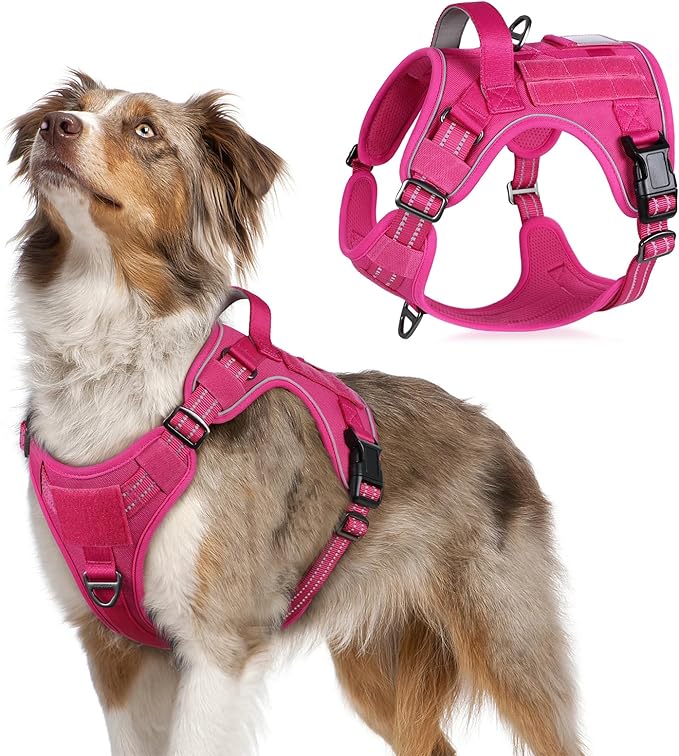 rabbitgoo Tactical Dog Harness Medium Sized Dog, No Pull Military Service Vest with Handle &amp; Molle, Easy Control for Training Walking, Adjustable Reflective Straps, Rose Red, M