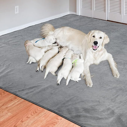 Dog Pee Pad Washable-Extra Large Instant Absorb Training Pads Non-Slip Pet Playpen Mat Waterproof Reusable Floor Mat for Puppy/Senior Dog Whelping Incontinence Housebreaking (31"x36"-(2PACK))