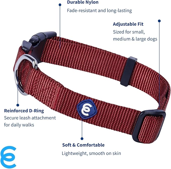 Blueberry Pet Essentials Small Dog Collar | Fired Brick Nylon Dog Collar with Quick Release | Girl &amp; Female Dog Collars for Fall