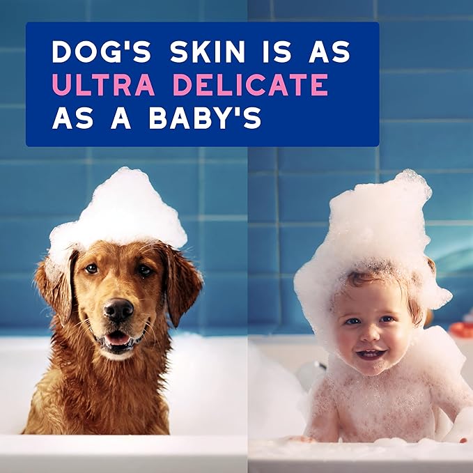 DOUXO® Skin &amp; Coat SPA - Ultra-Safe Dog Shampoo for Itchy Skin, 16 fl oz, Skin-Friendly Formula Cleans and Soothes, Leaves The Coat Soft and Radiant
