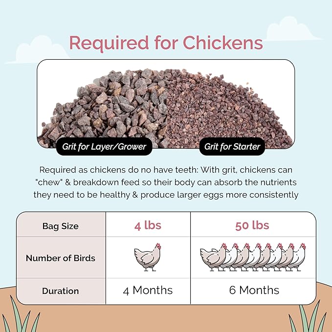 Chicken Grit for Layer &amp; Grower Chickens Age 8-20+ Weeks - 100% Natural Mineral Chicken Grit Quartzite, Poultry Grit, USA Mined, 4 lbs