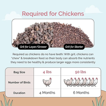 Chicken Grit for Layer &amp; Grower Chickens Age 8-20+ Weeks - 100% Natural Mineral Chicken Grit Quartzite, Poultry Grit, USA Mined, 4 lbs