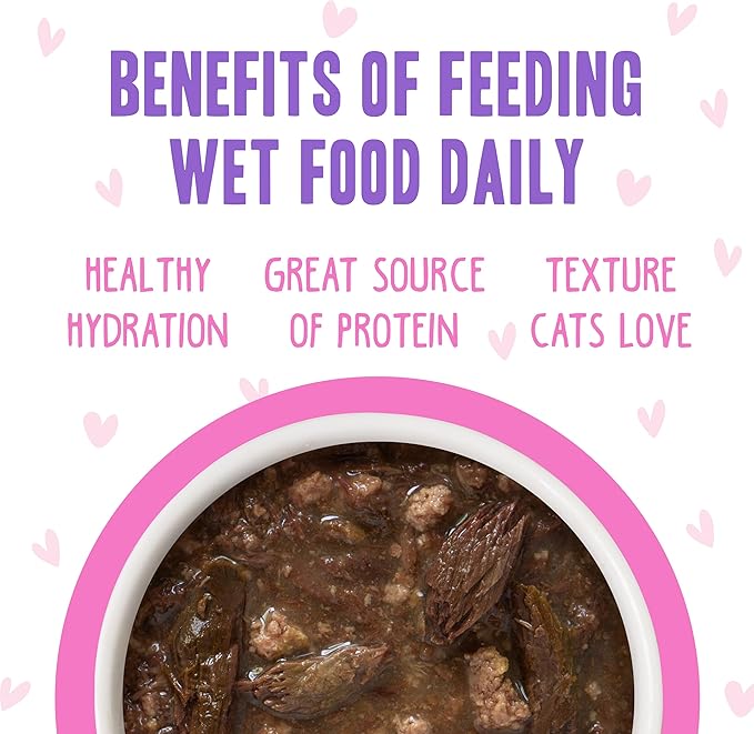 Weruva B.F.F. OMG - Best Feline Friend Oh My Gravy!, Tuna &amp; Duck Devour Me with Tuna &amp; Duck in Gravy Cat Food, 3oz Pouch (Pack of 12)