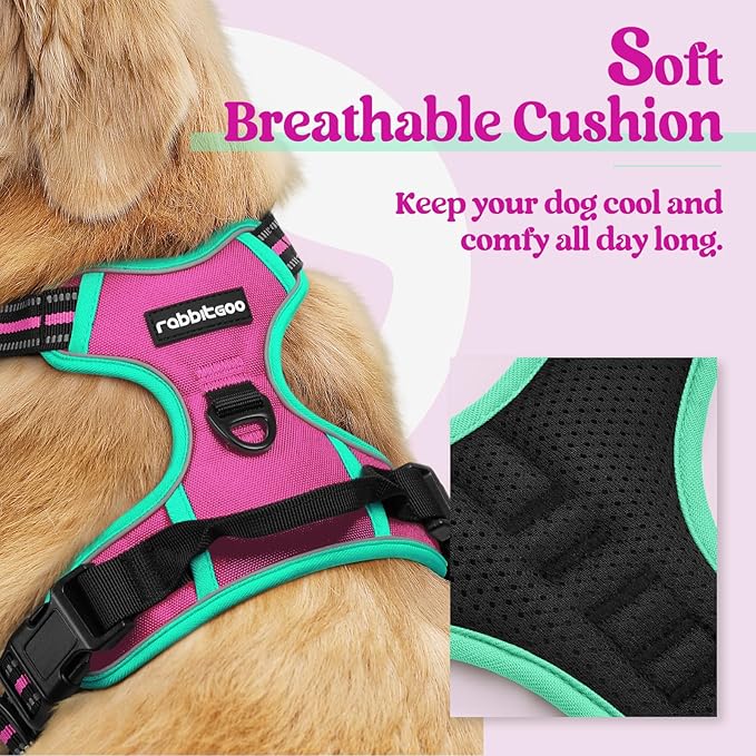 rabbitgoo Dog Harness No Pull with 2 Leash Clips, Adjustable Soft Padded, Reflective Oxford No Choke Pet Vest with Easy Control Handle for Large Dogs, Hot Pink &amp; Turquoise, L