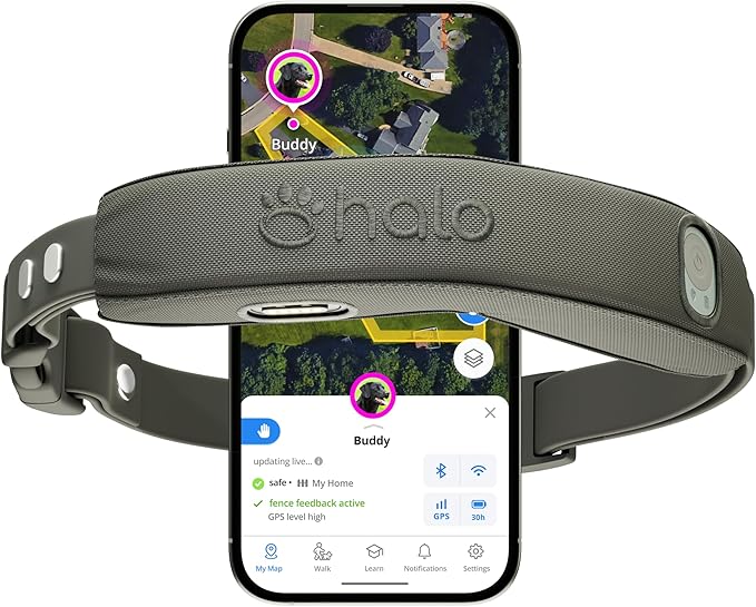 Halo Collar 4, All New GPS Wireless Dog Fence &amp; Dog Training Collar with GPS Tracker, Subscription Required, Waterproof, One Size, Graphite