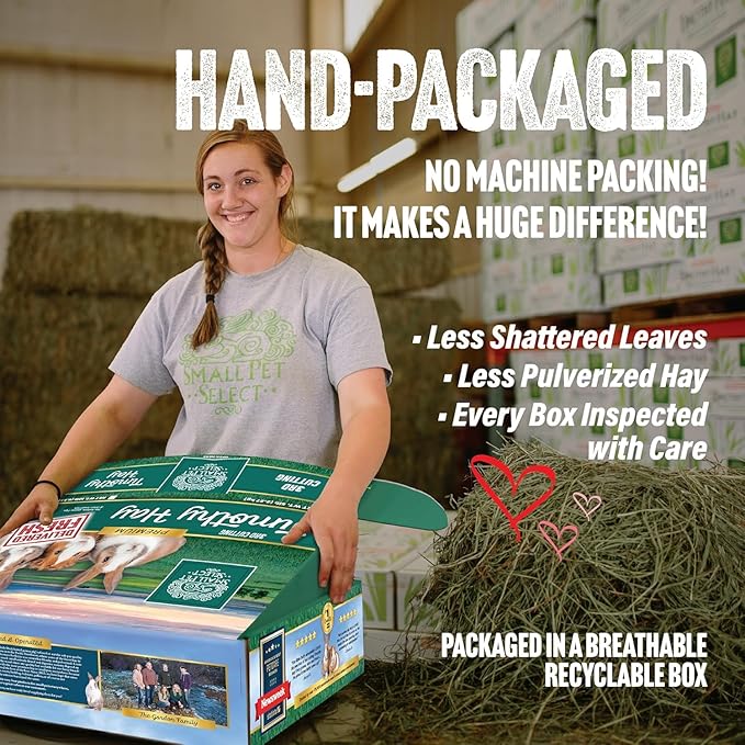 Small Pet Select-Sampler Box, 2ND Cutting, 3RD Cutting Timothy Hay, Oat Hay, &amp; Orchard Hay