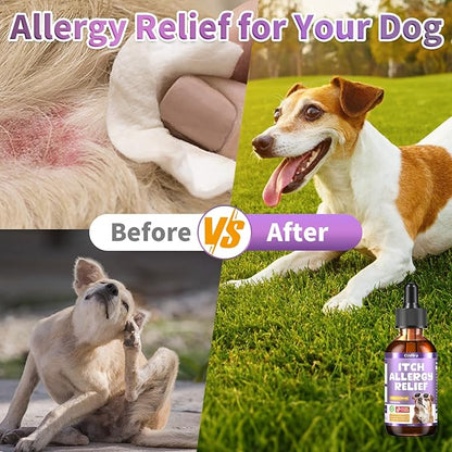 Dog Allergy Relief Drops, Skin &amp; Coat Support with Fish Oil and Omega-3, Natural Immune Supplement for Dogs – Seasonal Allergy &amp; Itchy Skin Care – Soothes Sensitive Skin, Itch Relief for Dog, 2 Fl oz
