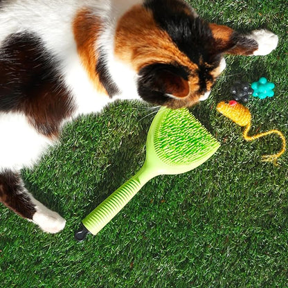 Michel Mercier Pet Detangling Brush - Fine or Normal Fur - Cat &amp; Dog Brush for Grooming, Detangling &amp; Deshedding - 1 pc