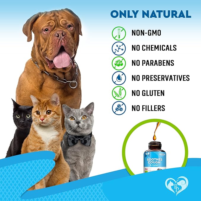 Kennel Cough Treatment &amp; Natural Infection Medicine for Dogs &amp; Cats - Respiratory &amp; Cold Cough Relief - Collapse Trachea &amp; Cat Asthma Support - Made in USA