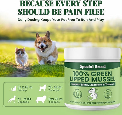 Green Lipped Mussel Powder for Dogs &amp; Cats - 100% New Zealand Green Lipped Mussels - Natural Hip &amp; Joint Supplement for Joints, Tendons, Ligaments, Muscles - 800 Grams - Up to 2,665 Servings