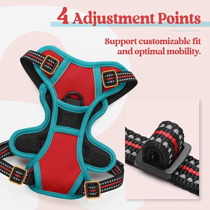 rabbitgoo Dog Harness No Pull with 2 Leash Clips, Adjustable Soft Padded, Reflective Oxford No Choke Pet Vest with Easy Control Handle for Puppy, Red &amp; Teal, XS