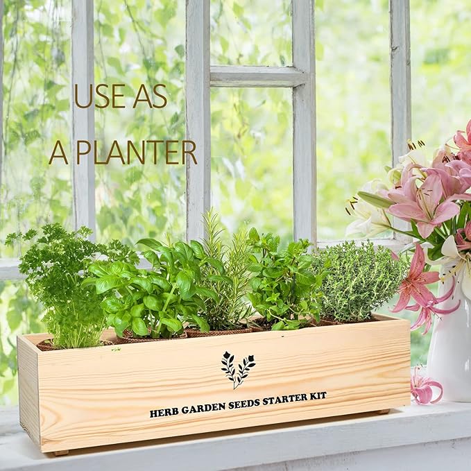 5 Herb Seeds Garden Starter Kit with Complete Planting Kit &amp; Wooden Flower Box, Growing into Basil, Parsley, Rosemary, Thyme, Mint for Kitchen Windowsill Herb Garden DIY