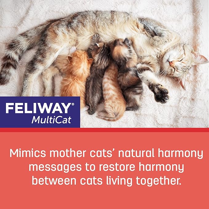 FELIWAY MultiCat Calming Pheromone Diffuser: 1 Diffuser Kit &amp; 6 Refills
