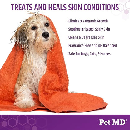Pet MD Micoseb-CX Topical Shampoo for Dogs, Cats, &amp; Horses with Miconazole - 12 oz