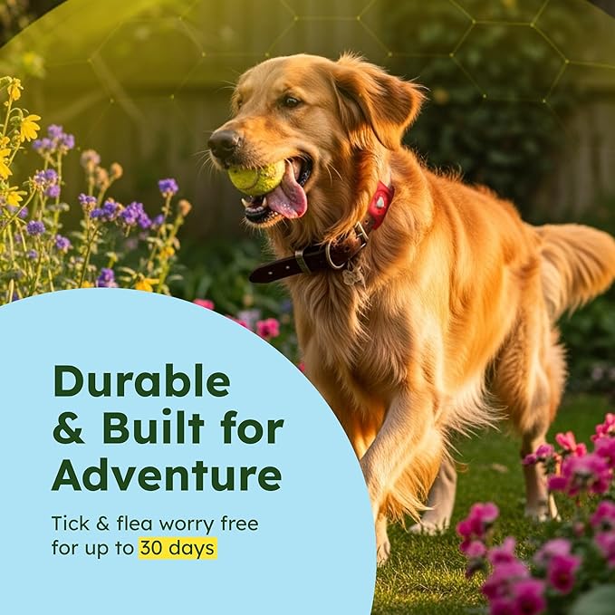 BugMD Paw Guardian Flea and Tick Prevention Pendant for Dogs with AirTag Holder | Plant-Powered Flea &amp; Tick Control for Dog Collars Harnesses | Dog Tag with Air Tag Holder - Red