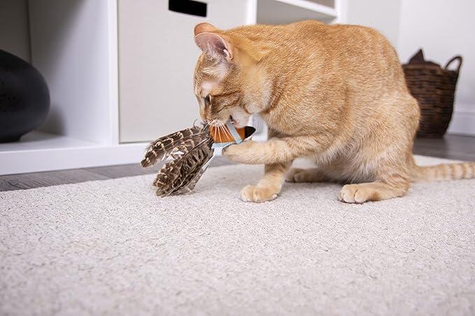 SmartyKat Toss-A-Fox Feather Toss &amp; Chase Cat Toy, Randomly Selected Color - Brown OR White, One Size