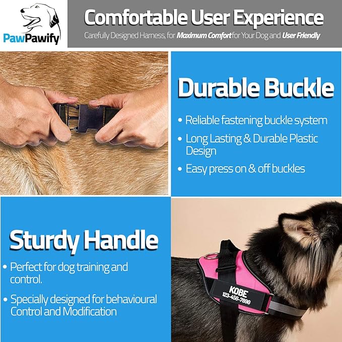 PawPawify Custom No Pull Dog Harness with Name and Phone Number, Heavy Duty Personalized Pet Vest to Prevent Tugging, Pulling, or Choking, Training and Walking (Purple, L (40-60 LBS))
