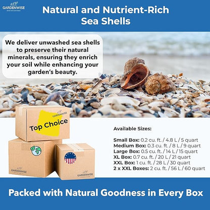 Natural Organic Sea Shell Mulch for Gardens and Landscaping – Decorative and Nutrient-Rich, 0.5–3-Inch Shells, Perfect for Indoor and Outdoor Use (2 CF - 56 L - 60 QTS)