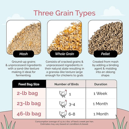 Organic Chicken Feed – Layer Pellet, Non-GMO, USA Grown, 16% Protein, Corn-Free, Soy-Free, Non-Medicated Feed for Chickens, 23 lbs