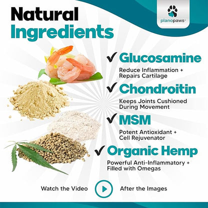 HempFlex - Glucosamine Chondroitin for Dogs - Hemp Oil for Dogs - Safe Dog Joint Supplement for All Breeds - 120 Mobility Hemp Dog Treats - Hip &amp; Joint Support for Dogs - Joint Supplement for Dogs