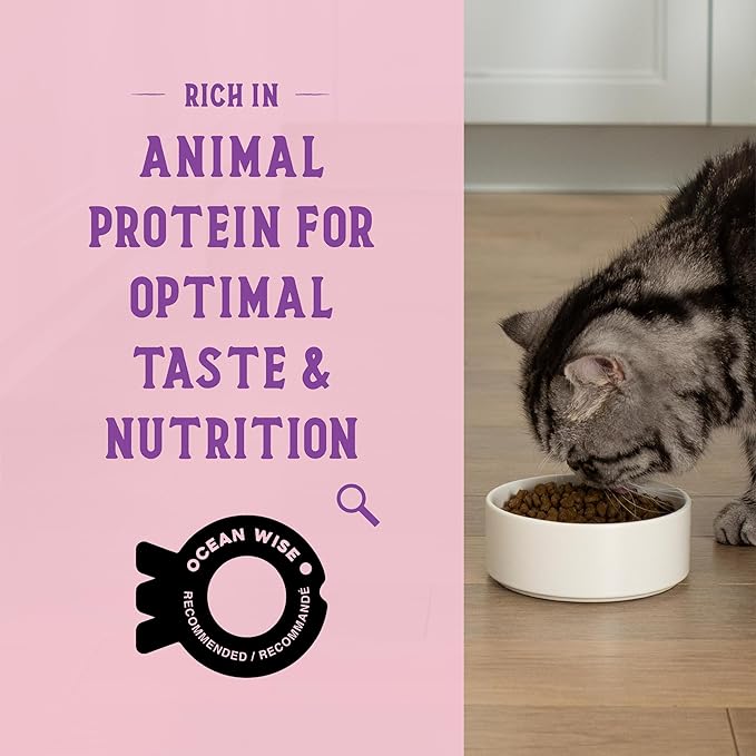Open Farm Goodbowl, Protein Rich Dry Cat Food Made from Meticulously Sourced Simple Ingredients, Wild-Caught Salmon &amp; Brown Rice Recipe, 7lb Bag (112oz Bag)