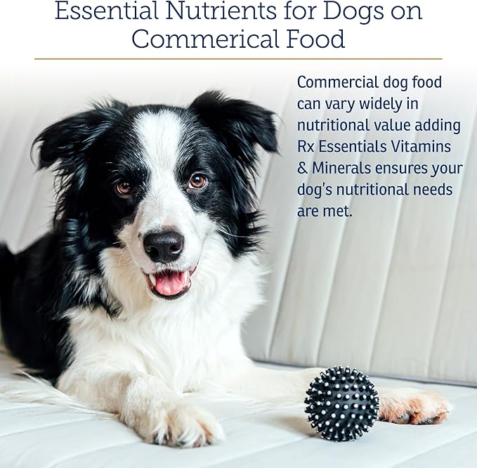 Rx Vitamins Essentials for Dogs - Daily Vitamins &amp; Minerals - with Blue Spirulina, Kelp Powder, and Milk Thistle - Complete Canine Vitamins and Essential Minerals Powder - 8 oz