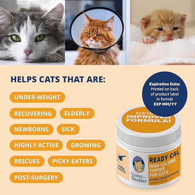 Under the Weather Ready Cal Powder for Cats | High-Calorie Weight Gainer &amp; Appetite Stimulant | Cat Energy Booster Veterinarian-Approved Pet Supplement with Vitamins &amp; Minerals | Chicken Flavor