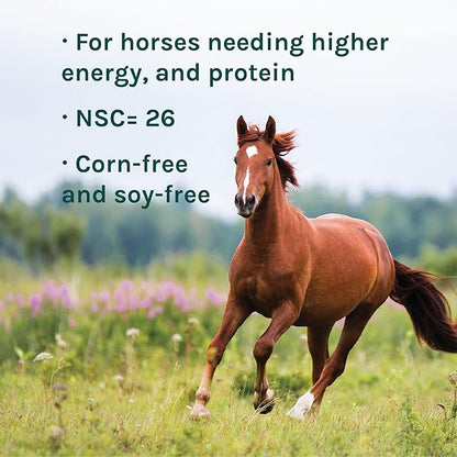 New Country Organics | Elite Horse Feed for Horses Under The Stresses of Competition and Travel | Corn-Free and Soy-Free | 14% Protein | Certified Organic and Non-GMO | Grain &amp; Oats Feeder 40 lbs