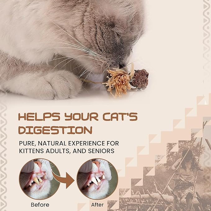 Catnip Silvervine Sticks for Cats | Silver Vine Chew Toy or Cat Chew Stick | Kitten Teething Toys | Cat Dental Chew with Cat Raffia Grass for Healthy Teeth &amp; Digestion | Silvervine Cat Toy | 2 Sticks