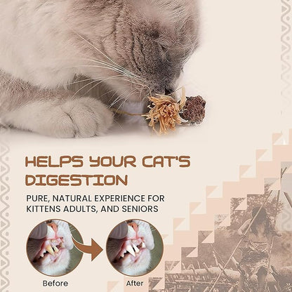 Catnip Silvervine Sticks for Cats | Silver Vine Chew Toy or Cat Chew Stick | Kitten Teething Toys | Cat Dental Chew with Cat Raffia Grass for Healthy Teeth &amp; Digestion | Silvervine Cat Toy | 2 Sticks
