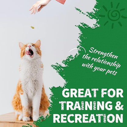 Just Try 13.4 OZ Cat Treats for Indoor Cats Hairball Control Natural Salmon Healthy Cat Grass Treats Kitten Snacks Training Biscuits Catnip for Cats Dental Care