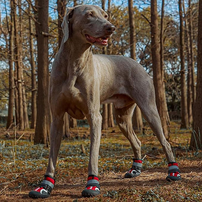 Dog Shoes Winter Snow Boots for Large Size Medium Dogs Reflective Anti-Slip Paw Protectors for Rain Booties Hot Pavement Hardwood Floors Running Water-Resistant Dog Shoes(Red, 2