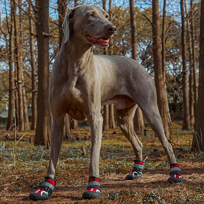 Dog Shoes, Waterproof Dog Boots &amp; Paw Protectors with Anti-Slip Sole, 4pcs/Set Pet Dog Booties, Reflective Dog Shoes for Small Medium Large, Winter Snowy Summer Hot Pavement (Red, 5