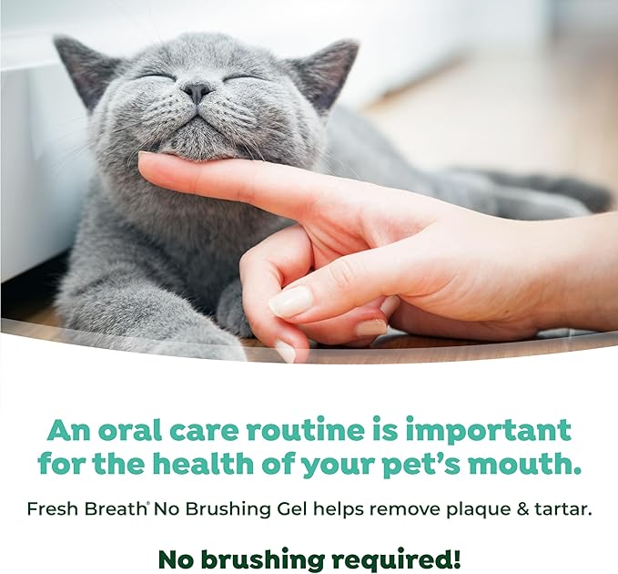 TropiClean Fresh Breath Cat Toothpaste for Teeth Cleaning, Breath Freshener, Easy to Use Plaque &amp; Tartar Remover Gel, No Toothbrush Needed, 2oz.