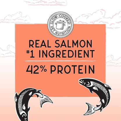 Blackwood Bounty Dry Cat Food, Salmon &amp; Rainbow Trout Recipe for All Life Stages, 10 Pound Bag, High Protein, Grain Free