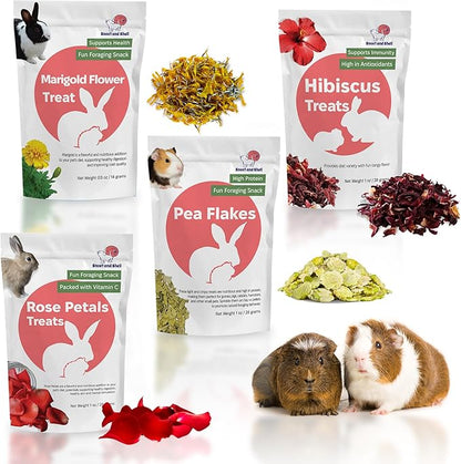 Snout and Shell Floral Favorites 4-in-1 Natural Treats for Small Pets – Pea Flakes, Marigold, Rose Petals &amp; Hibiscus – Healthy Snacks for Rabbits, Guinea Pigs, Chinchillas &amp; More