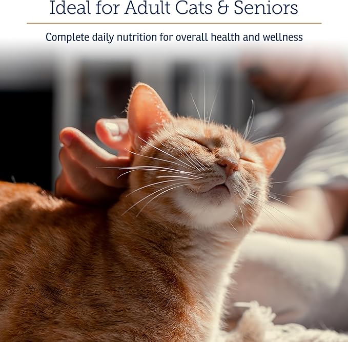 Rx Vitamins Essentials for Cats - Daily Immune Support and Overall Health - Featuring Taurine, Vitamin B12, &amp; Milk Thistle - Cat Multivitamin and Multimineral Powder with Spirulina and Vitamin B - 4oz