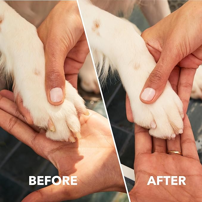 Dremel PawControl 7760-PGK Dog Nail Grinder and Trimmer - Cordless &amp; Rechargeable Pet Grooming Tool Kit - Safe and Humane for Dogs, Cats, and Small Animals