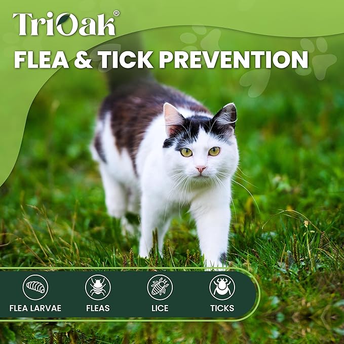 Flea and Tick Prevention for Cats: Flea &amp; Tick Topical for Cats Over 1.5lbs, 6 Dose Flea and Tick Control/Prevention for 6 Months (6 Pack)