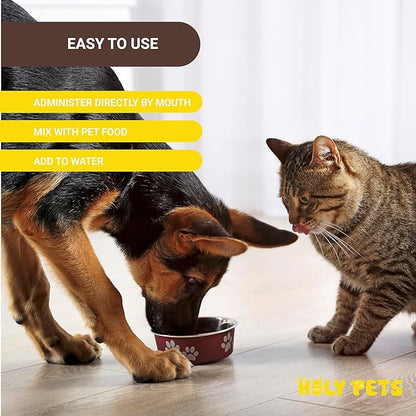 Cough Medicine for Dogs &amp; Cats, Respiratory Infection Support - Sneezing Relief &amp; Kennel Cough Treatment - Pet Asthma Support - Made with Natural Ingredients in The USA