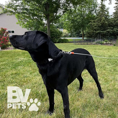 BV Dog Tie Out Cable 25 Feet - Heavy Duty Dog Lead up to 90 Pounds - Reflective &amp; Rust-Free with Quick Release Swivel Clips &amp; 360° Rotating Clasp - Tangle-Free Dogs Runner for Yard (Silver, Single)