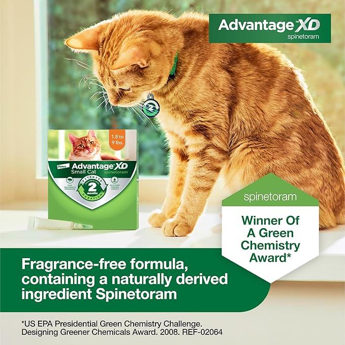 Advantage XD Small Cat Flea Prevention &amp; Treatment For Cats 1.8-9lbs. | 2-Topical Doses, 2-Months of Protection Per Dose