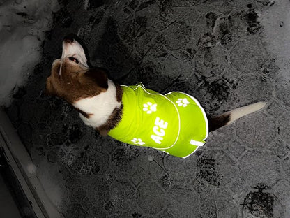 Custom Reflective Dog Vest Personalized High Visibility Reflective Jacket for Your Puppy Hunting Safety Gear with Elastic Strap &amp; Clasp, Comfortable, Perfect for Day and Night Walks!
