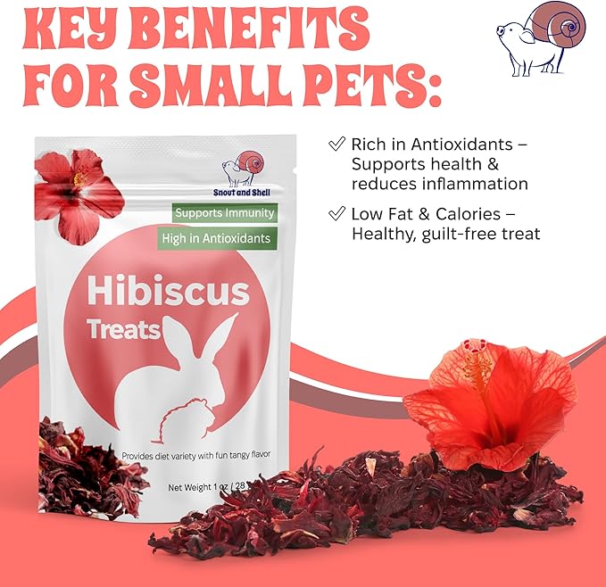 Snout and Shell Floral Favorites 4-in-1 Natural Treats for Small Pets – Pea Flakes, Marigold, Rose Petals &amp; Hibiscus – Healthy Snacks for Rabbits, Guinea Pigs, Chinchillas &amp; More