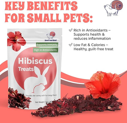 Snout and Shell Floral Favorites 4-in-1 Natural Treats for Small Pets – Pea Flakes, Marigold, Rose Petals &amp; Hibiscus – Healthy Snacks for Rabbits, Guinea Pigs, Chinchillas &amp; More
