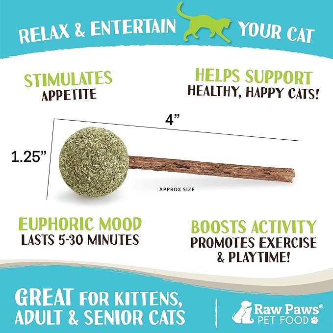 Raw Paws Catnip &amp; Silvervine Lollipops Interactive Cat Toy (6 Pack) - Silvervine Sticks for Cats - Catnip Ball Toy - Fresh Cat Nip - Silver Vine Dental Sticks