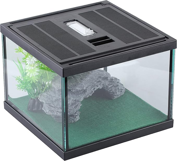 crapelles Glass Lizard Tank, Spider Box Kit, 7.8x7.8x5.9&