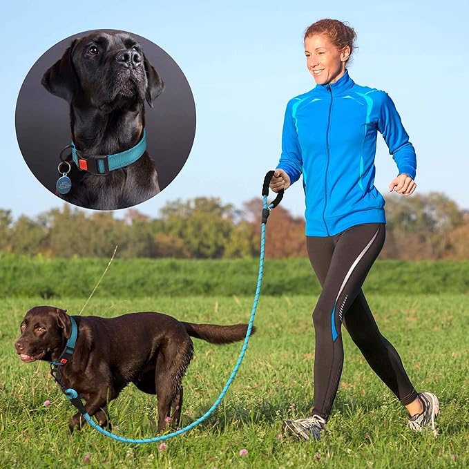 Heavy Duty Dog Leash - Comfortable Padded Handle, 5 ft Long - Dog Leashes for Small Medium Large Dogs (Leash+Collar S Neck 13.5"-16", Purple)