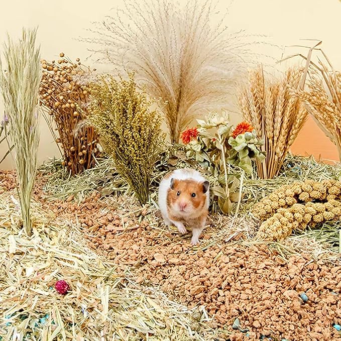 Natural Ear of Grain Flower&amp;Herb Bedding Mate Habitat Decor, Adding Fun Hamster Accessories for Hamsters Gerbils Lemming